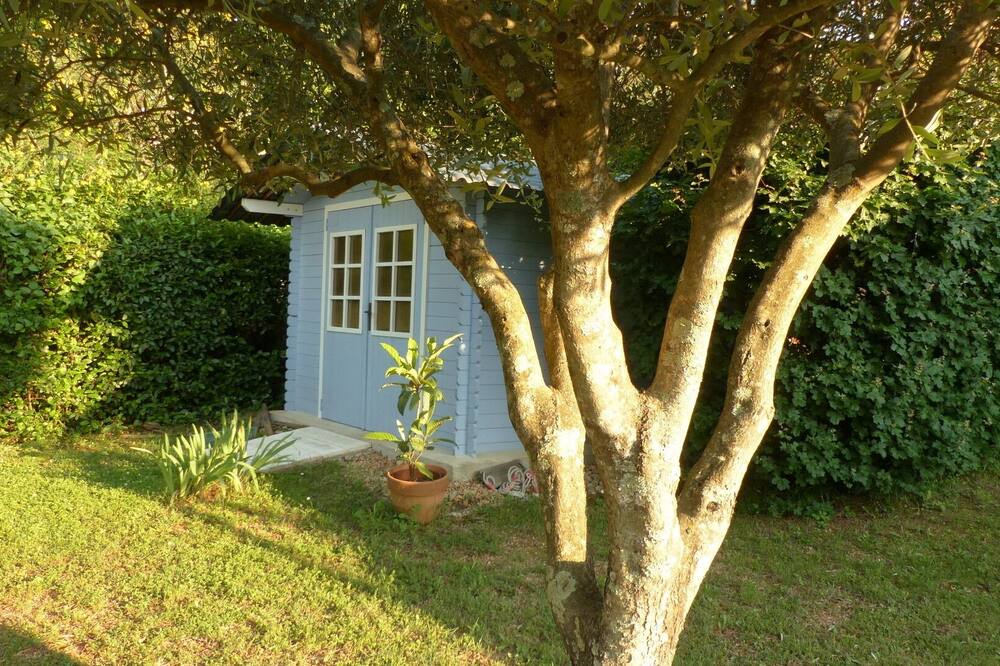 Photo of Outdoor in Trans-en-Provence