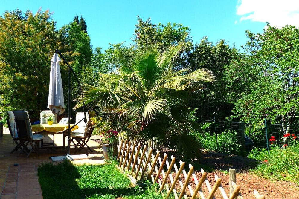 Photo of Outdoor in Trans-en-Provence