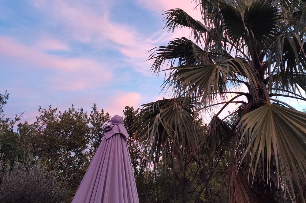 Photo of Others in Trans-en-Provence