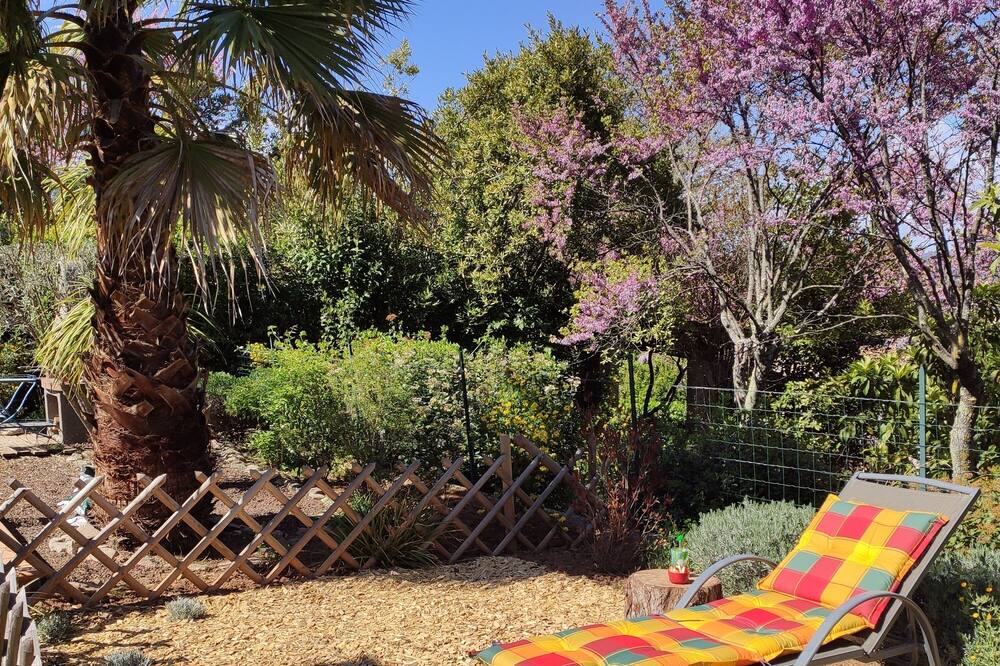 Photo of Others in Trans-en-Provence