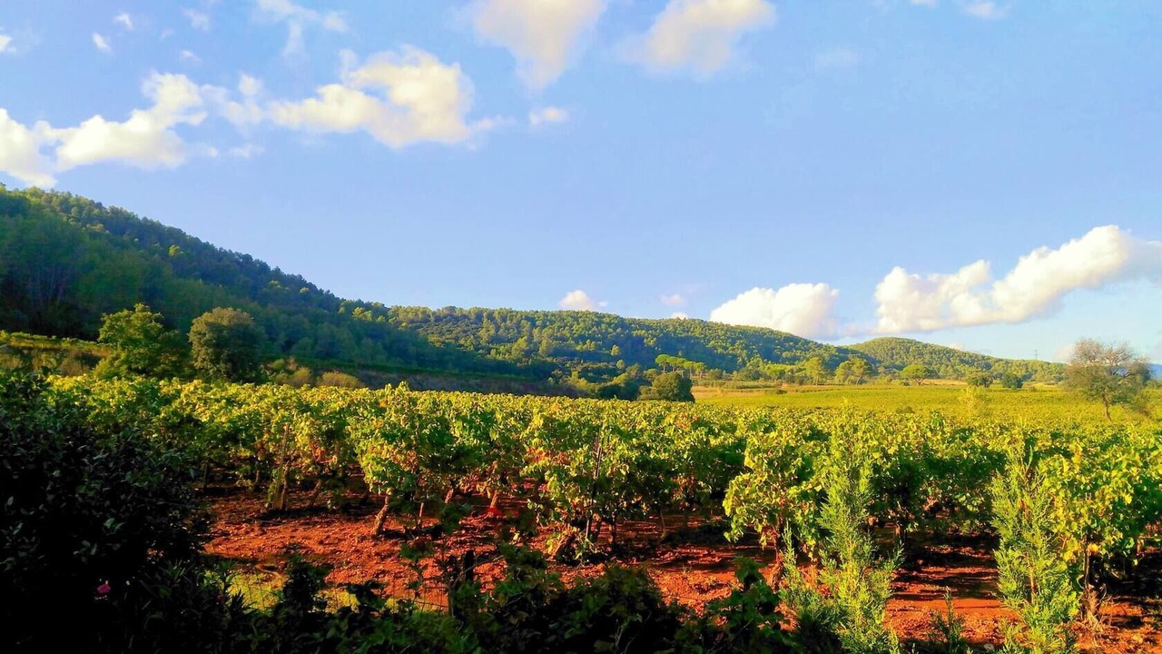 Photo of Outdoor in La Motte