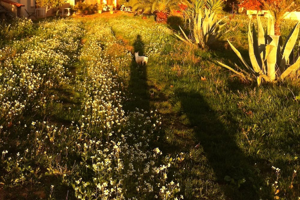 Photo of Outdoor in Puget-Ville