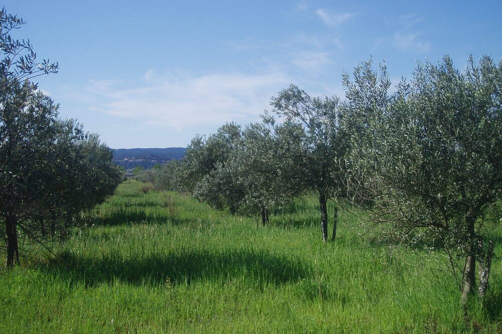 Photo of Outdoor in Puget-Ville