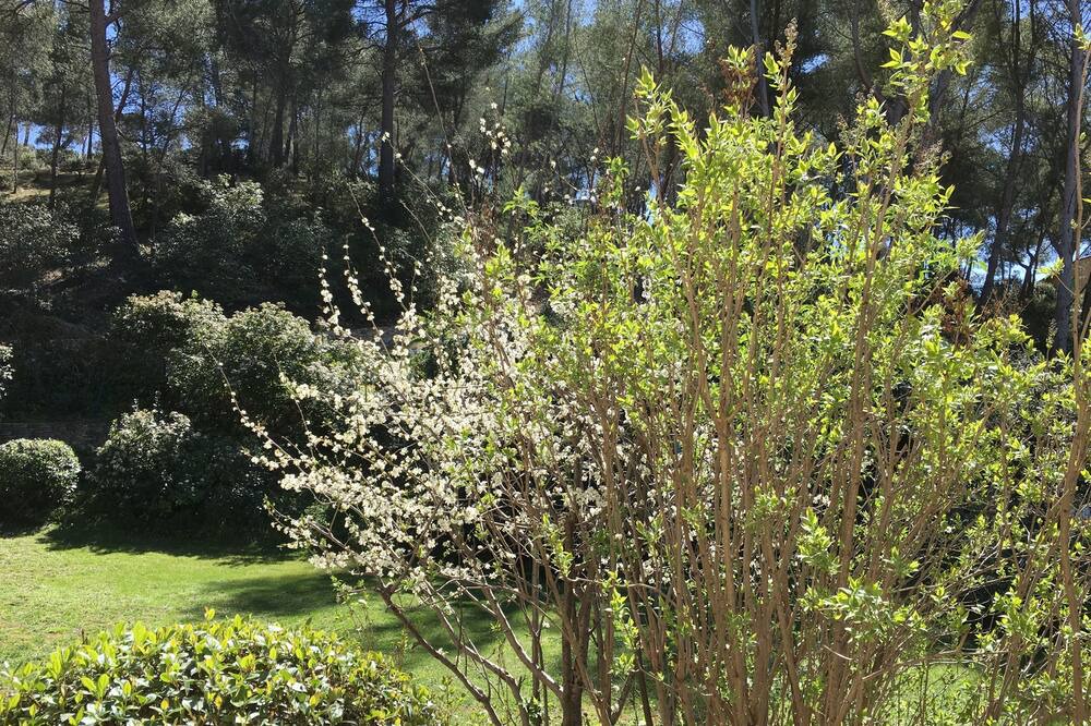 Photo of Outdoor in Allauch