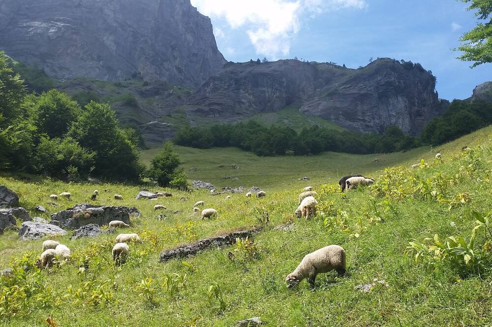 Photo of Outdoor in Sixt-Fer-a-Cheval