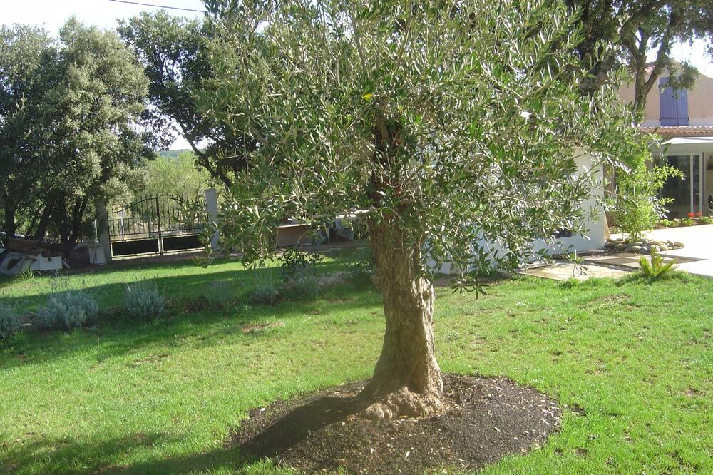 Photo of Outdoor in Saint-Julien