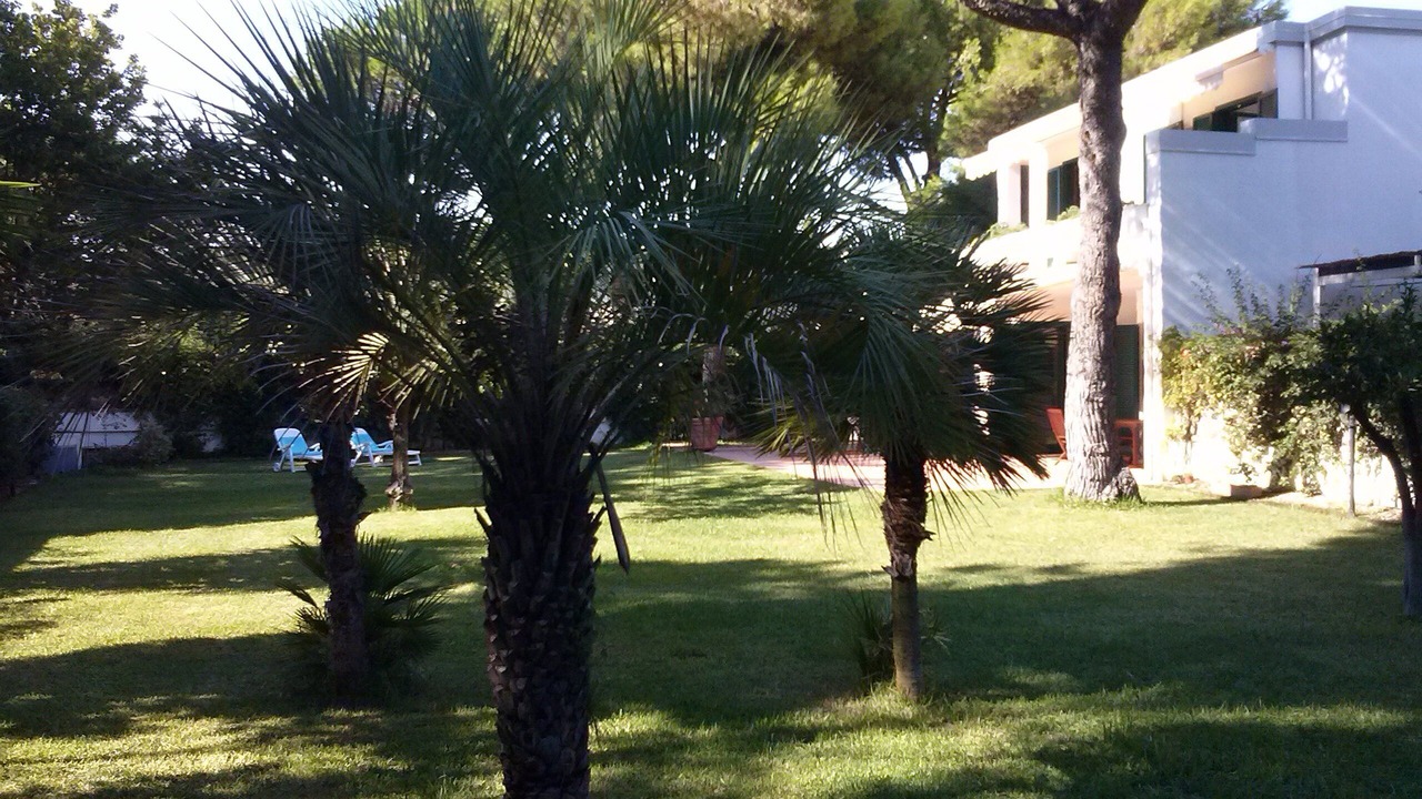 Photo of Outdoor in Paestum