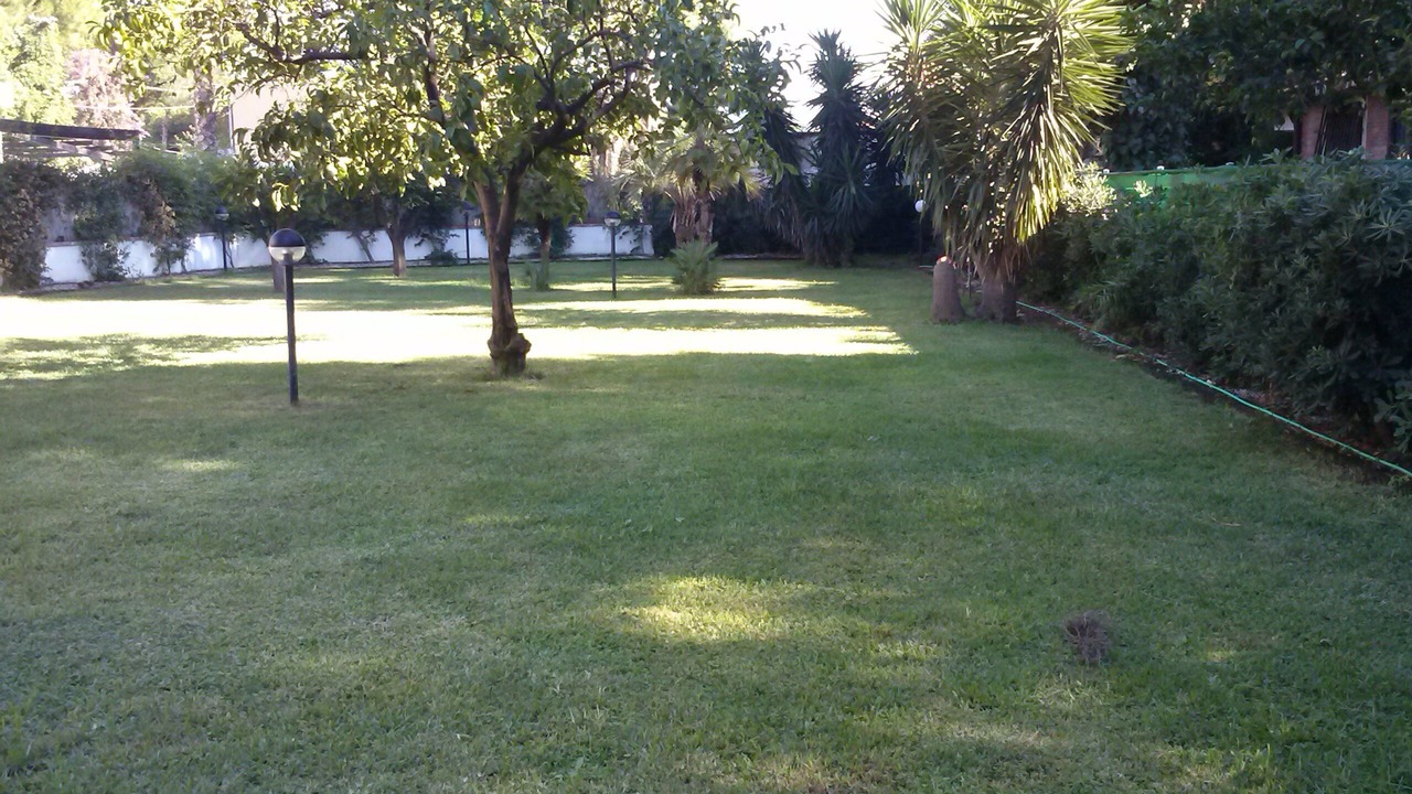 Photo of Outdoor in Paestum