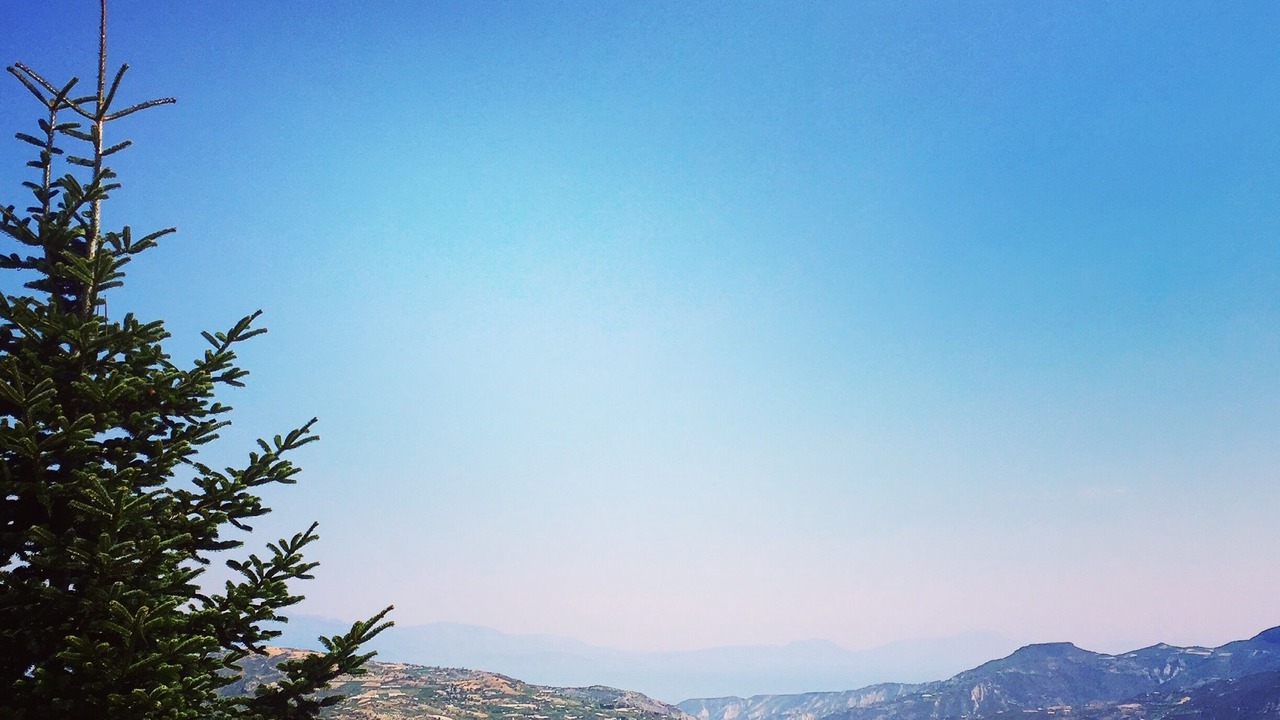 Photo of Outdoor in Synikia Mesi Trikalon