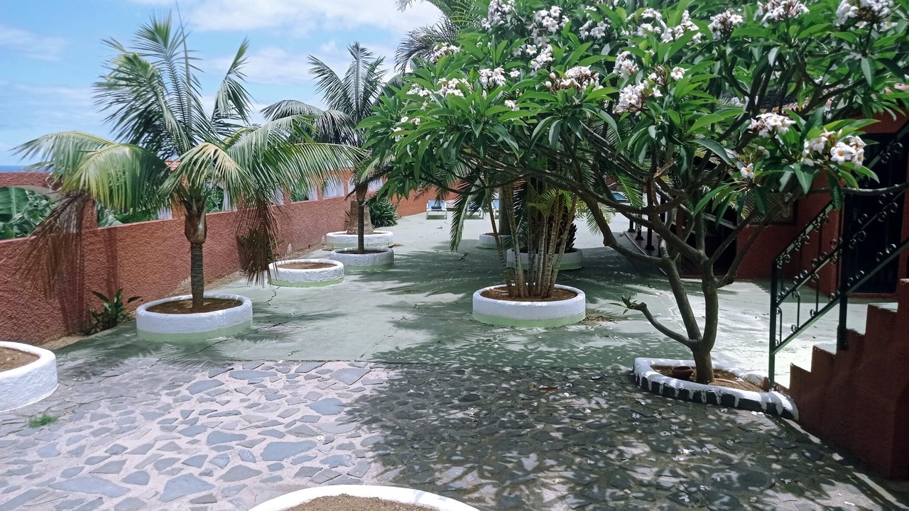 Photo of Outdoor in Garachico