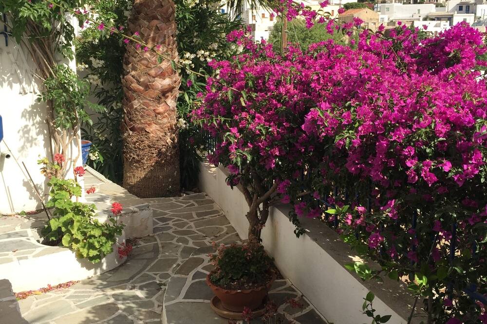 Photo of Outdoor in Lefkes
