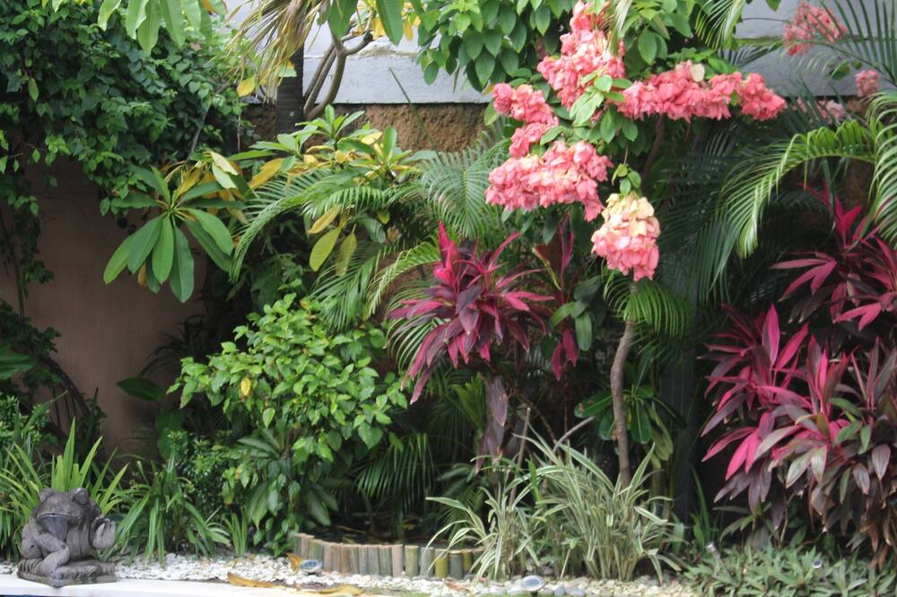 Photo of Outdoor in Drupadi