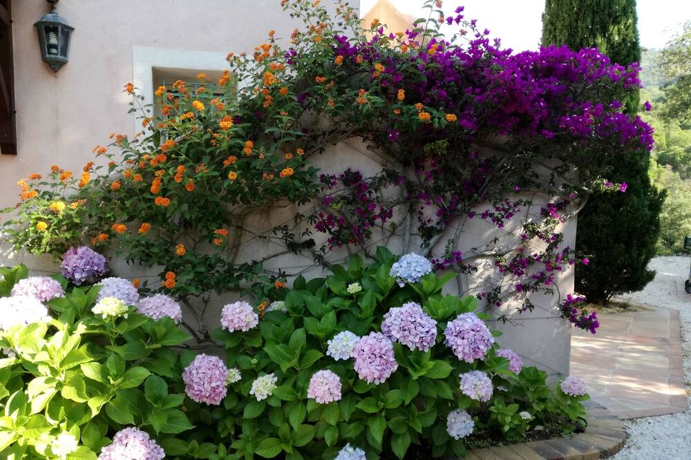 Photo of Outdoor in Rayol-Canadel-sur-Mer