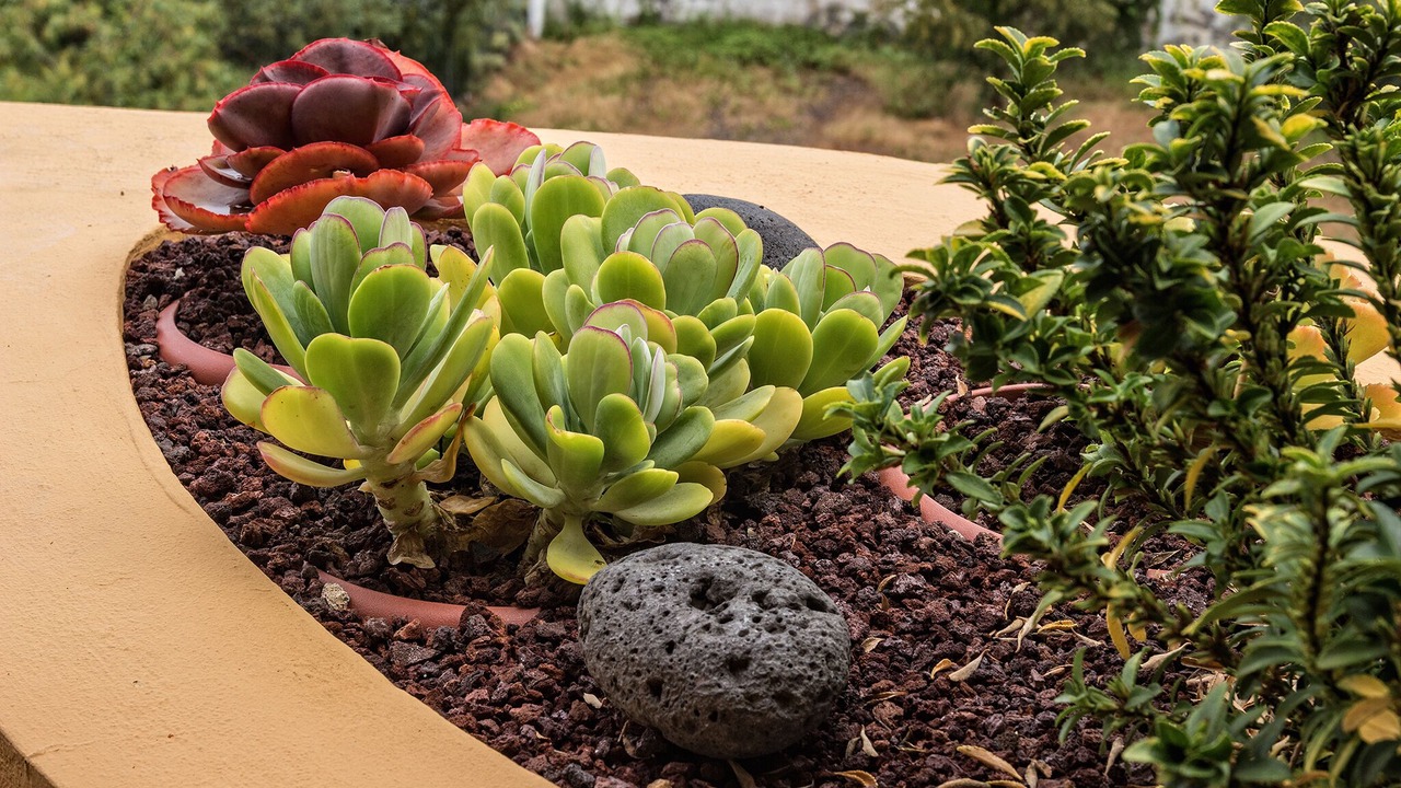 Photo of Outdoor in La Quinta