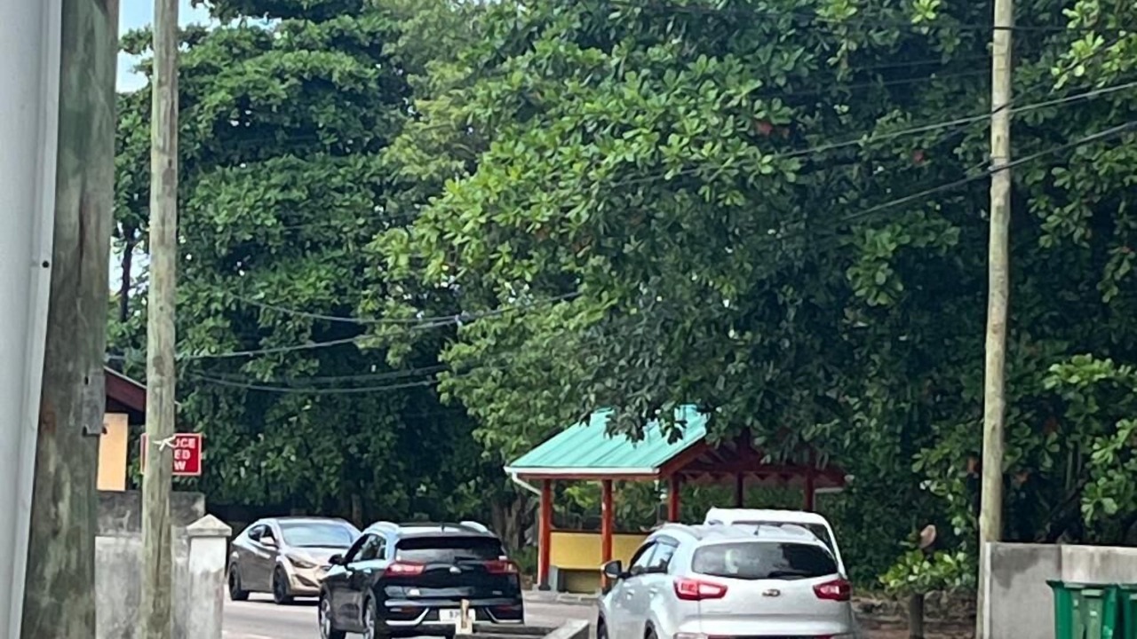 Photo of Others in Anse aux Pins