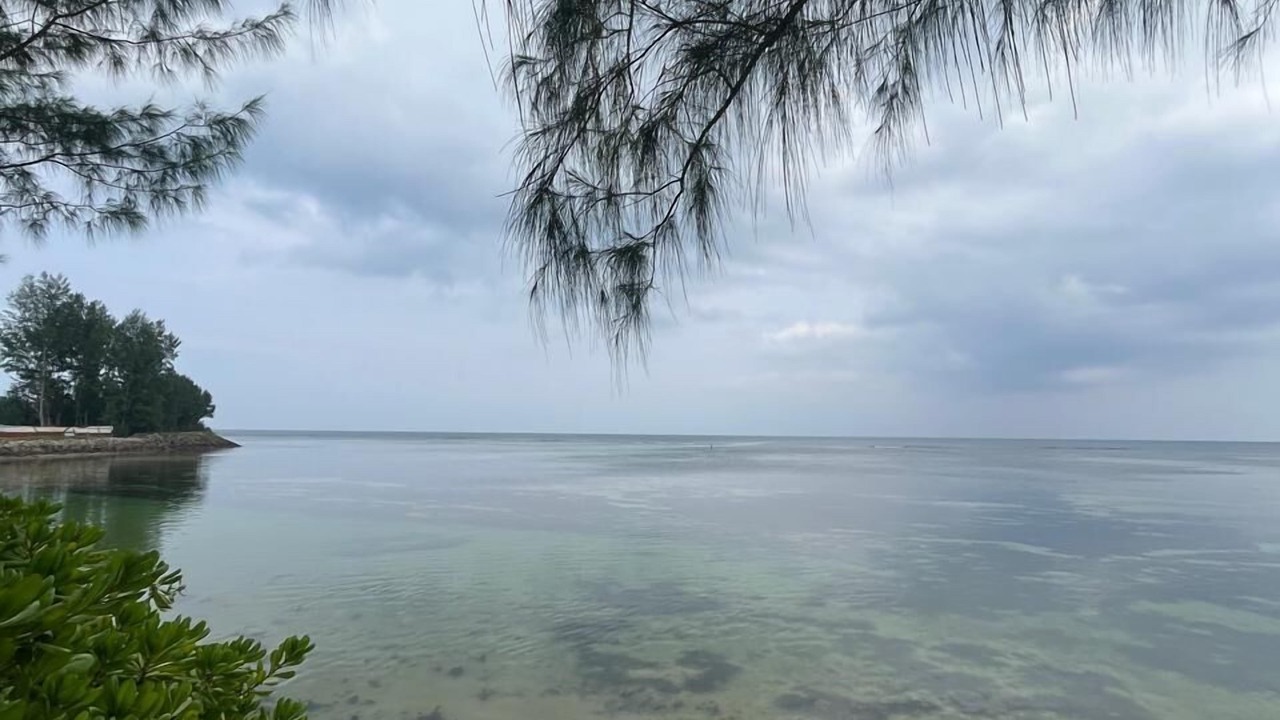 Photo of Others in Anse aux Pins