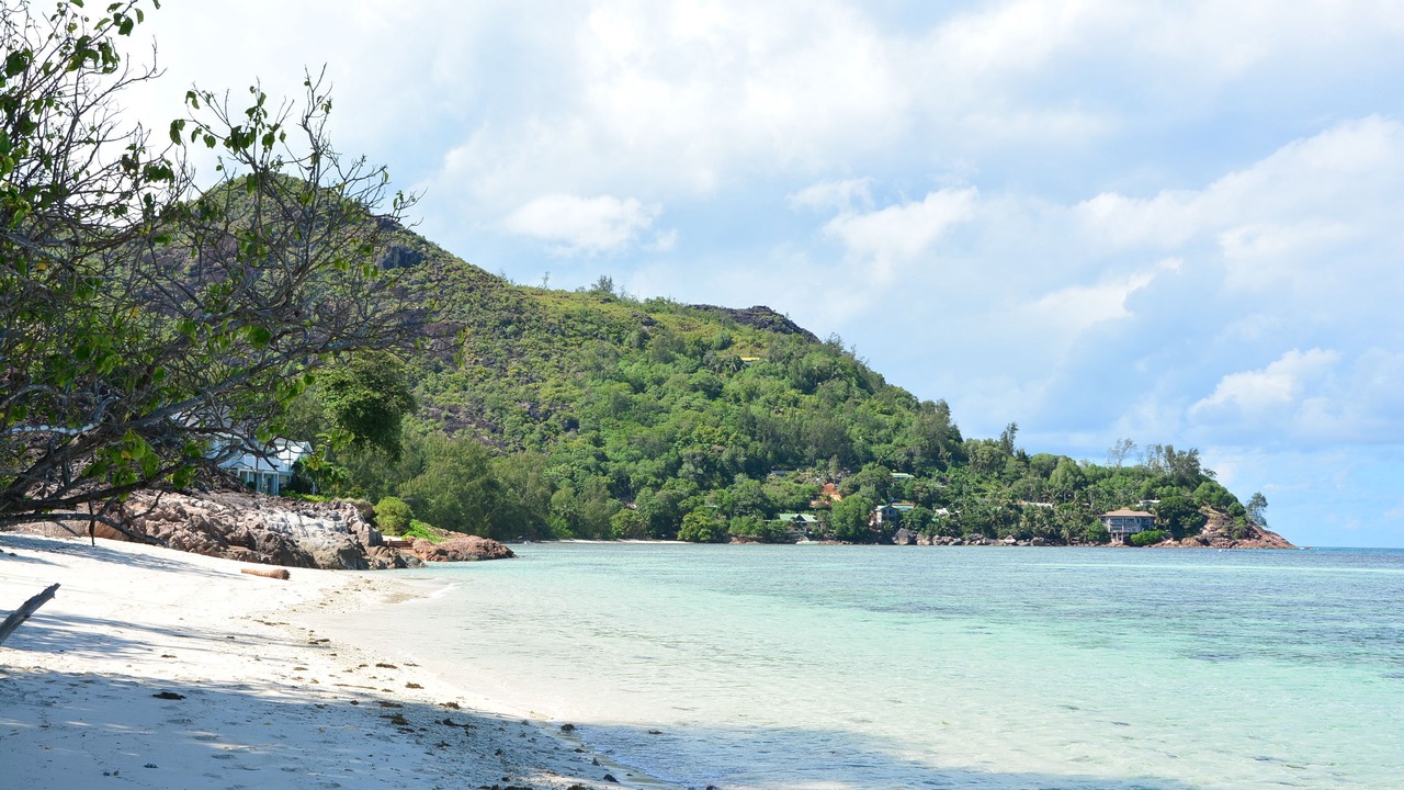 Photo of Others in Anse la Blague