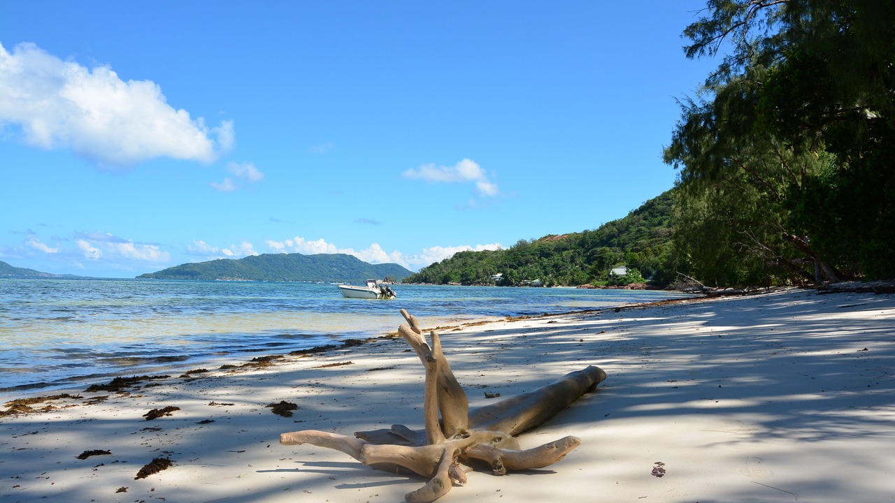 Photo of Others in Anse la Blague