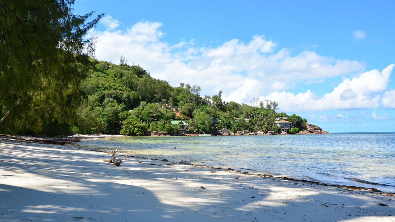 Photo of Others in Anse la Blague