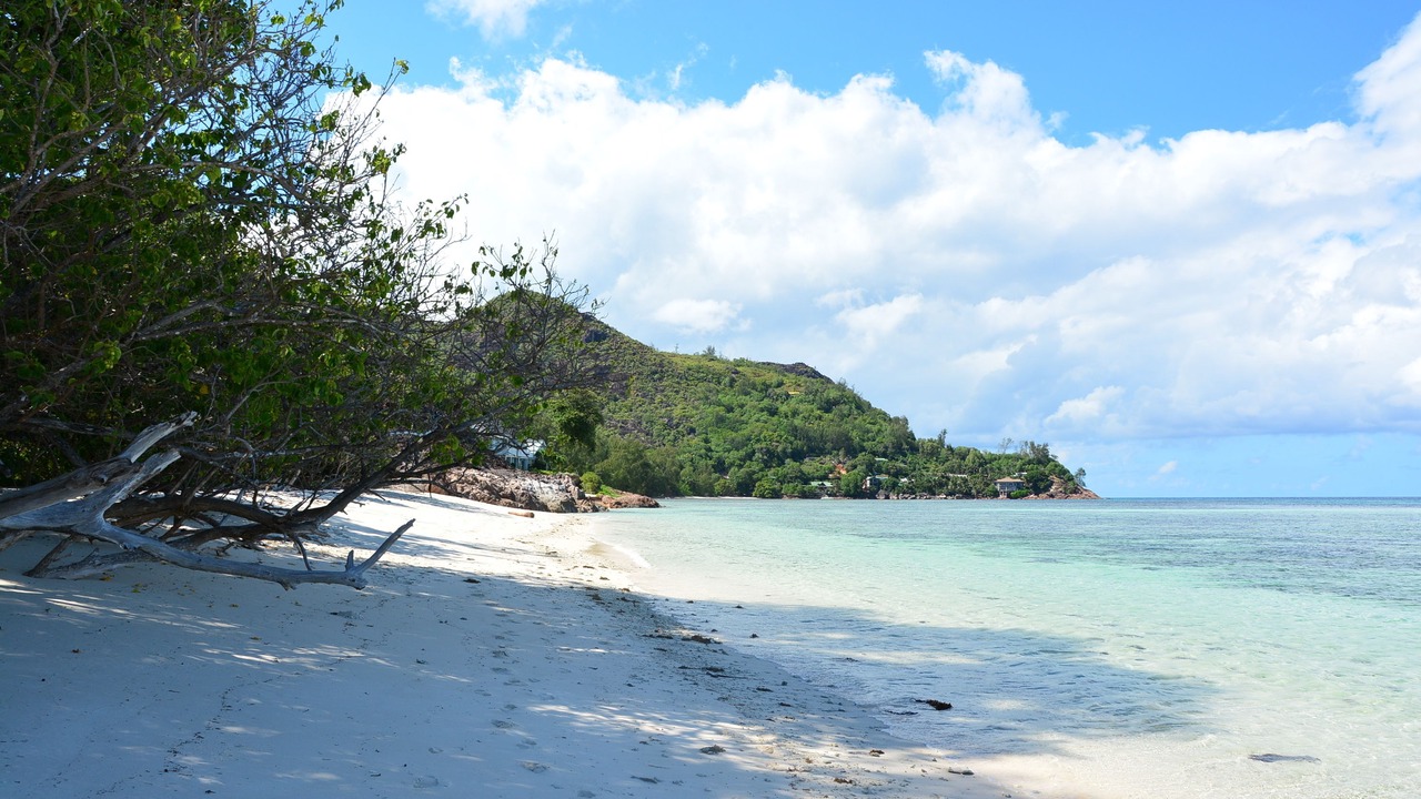 Photo of Others in Anse la Blague