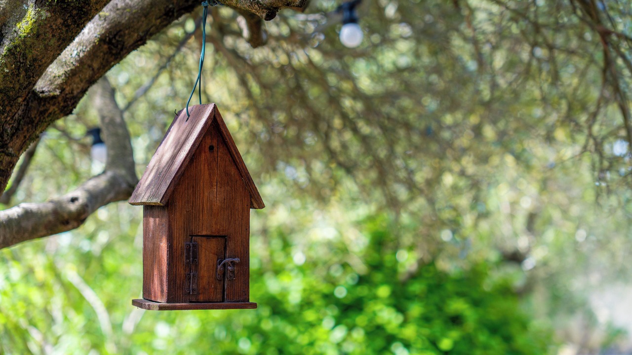 Photo of Outdoor in Draguignan