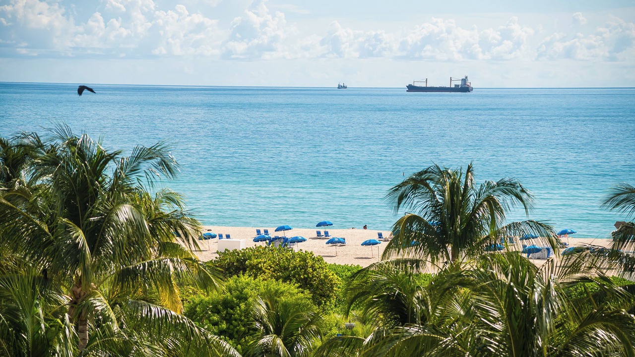 Photo of Others in South Beach