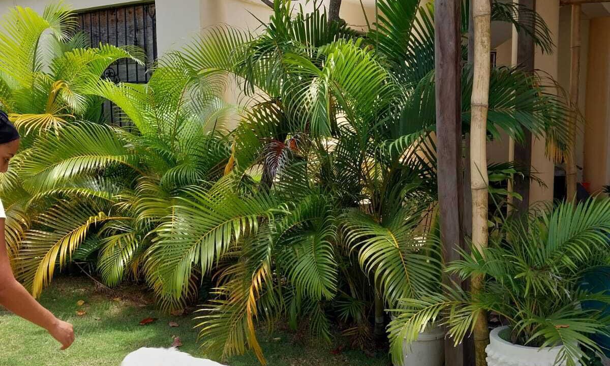 Photo of Others in Higuey