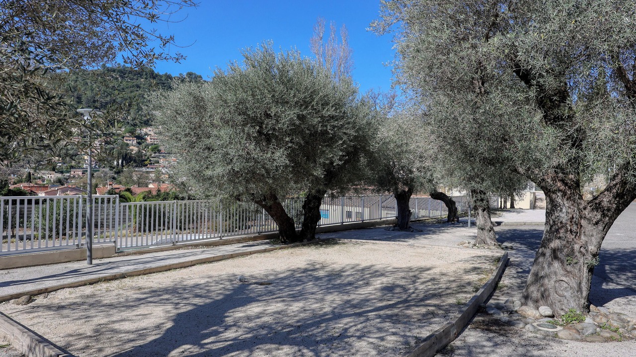 Photo of Outdoor in Sollies-Toucas