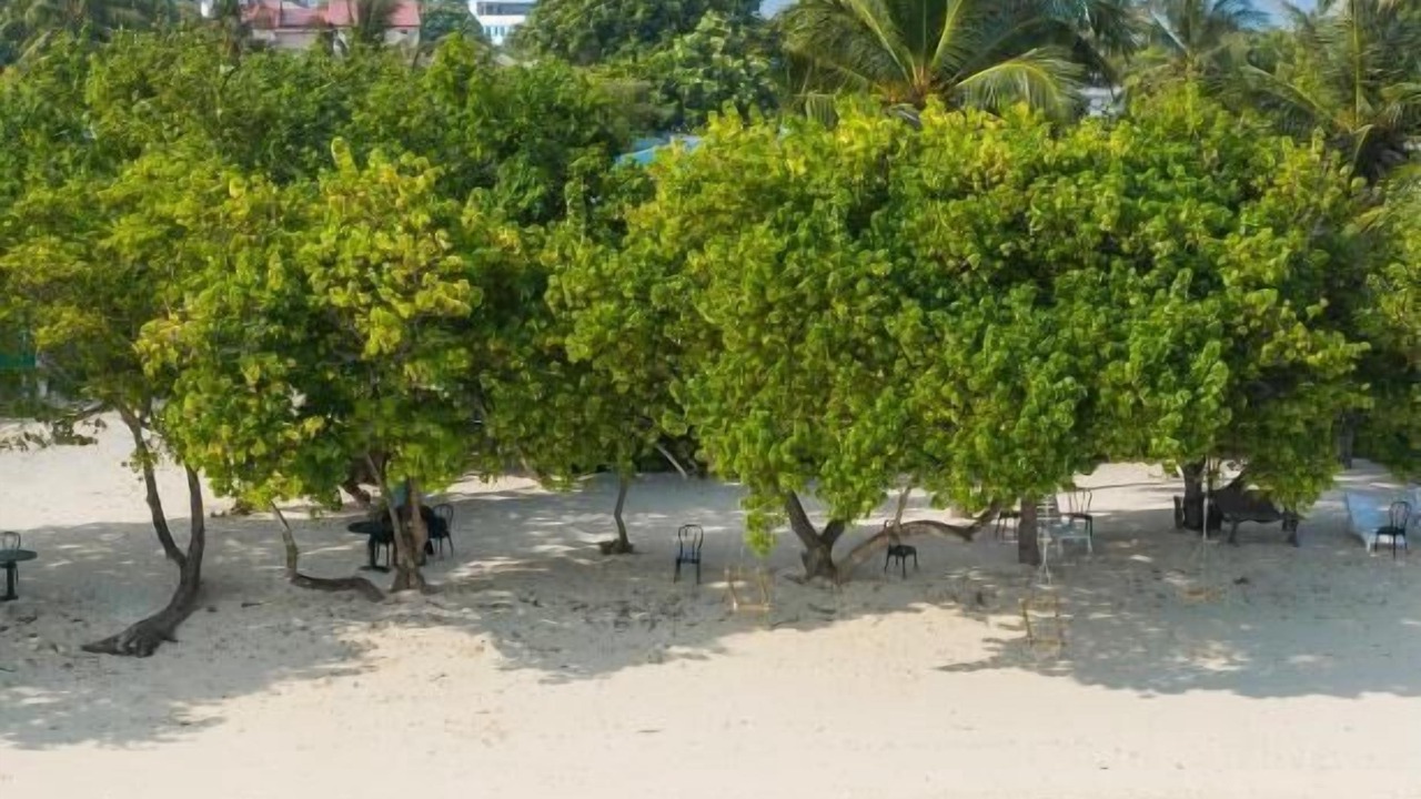 Photo of Others in Guraidhoo