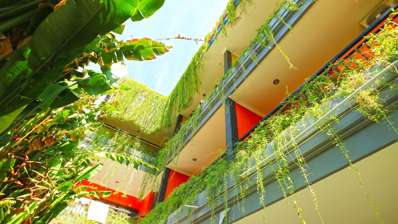 Photo of Outdoor in Kuta