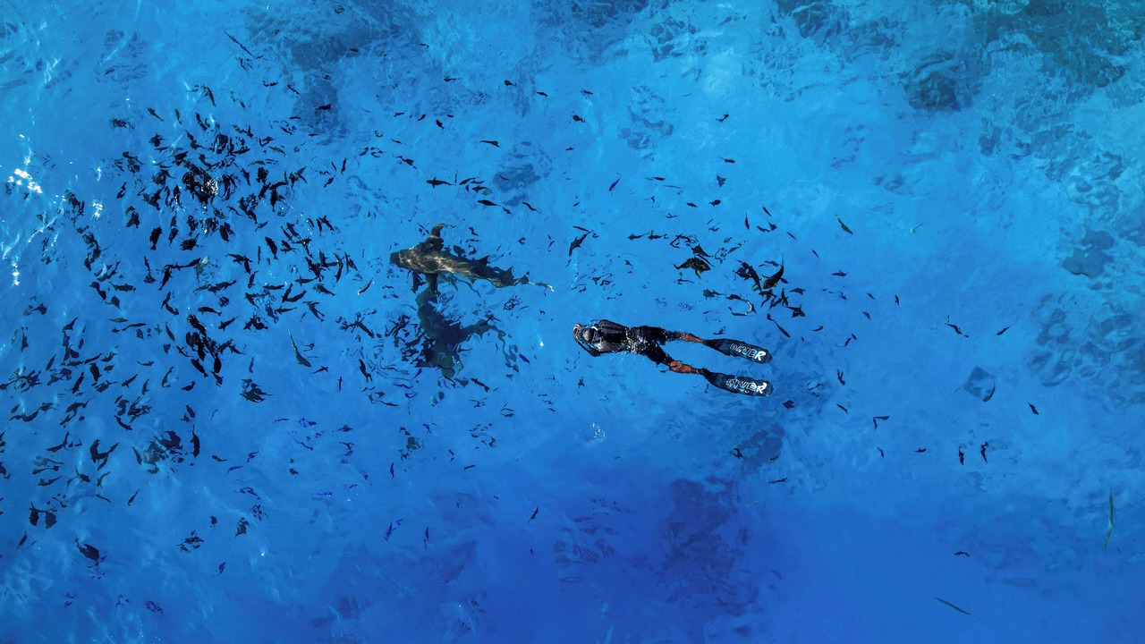 Photo of Others in Maafushi