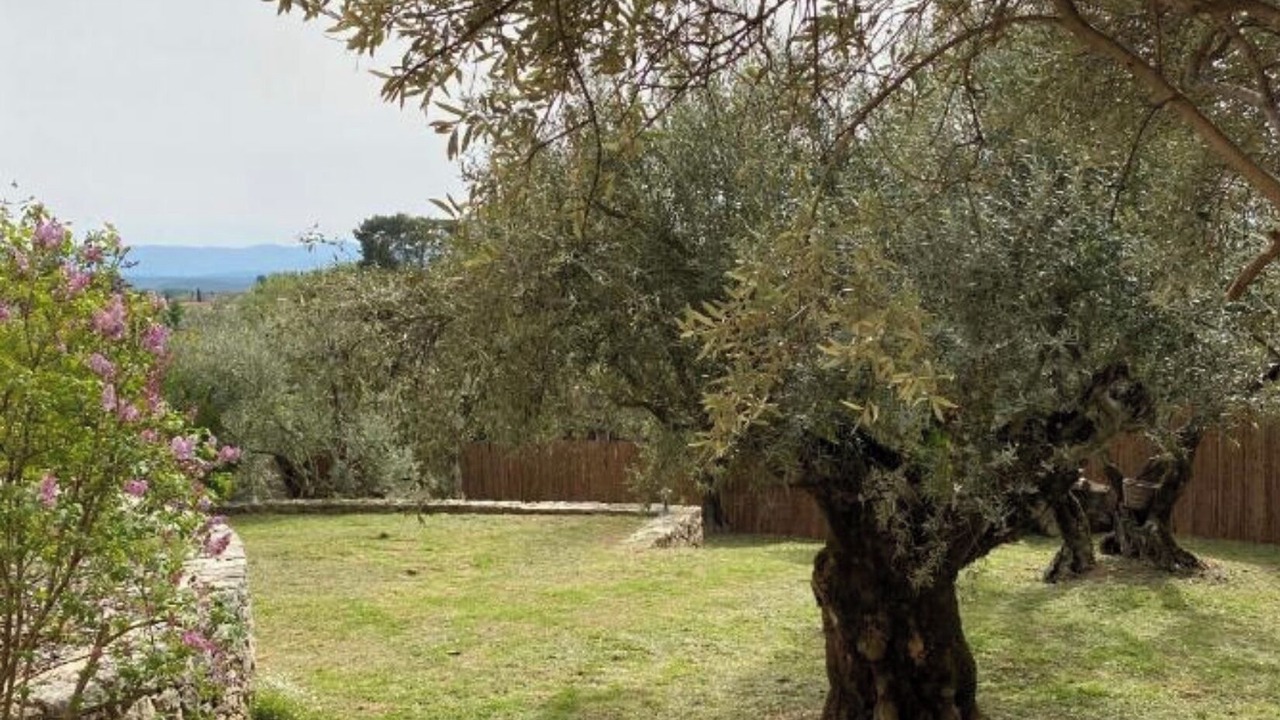 Photo of Outdoor in Flayosc