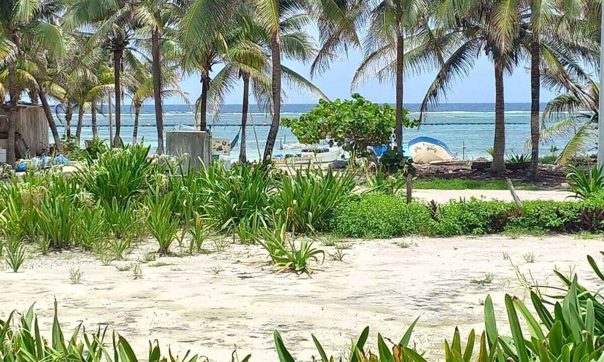Photo of Outdoor in Mahahual