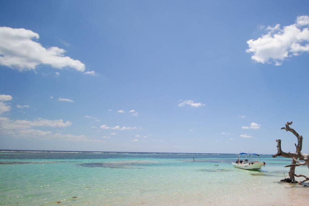 Photo of Others in Mahahual