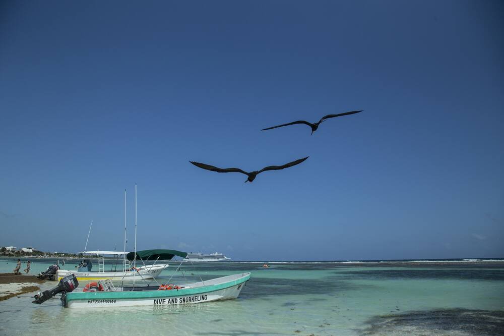 Photo of Others in Mahahual
