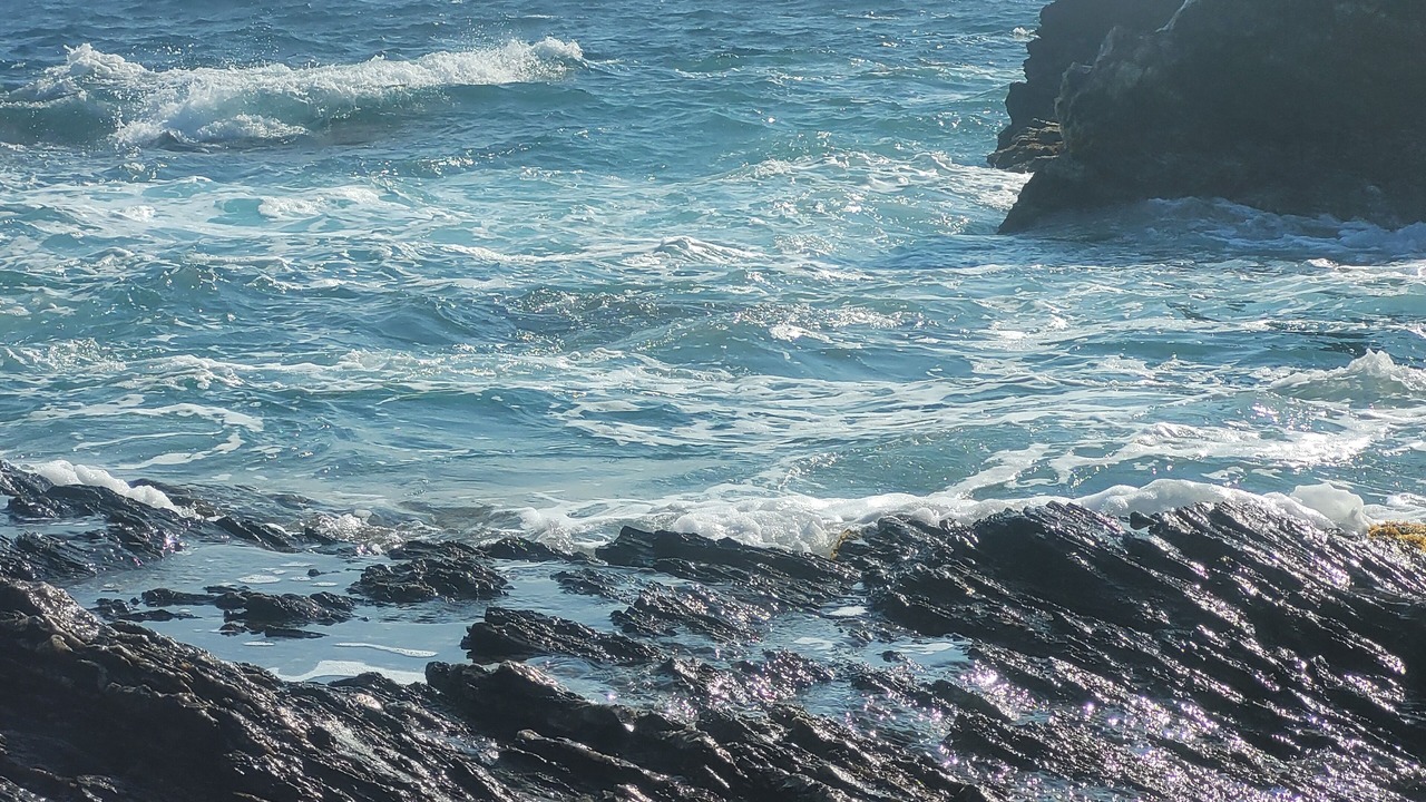 Photo of Others in Six-Fours-les-Plages