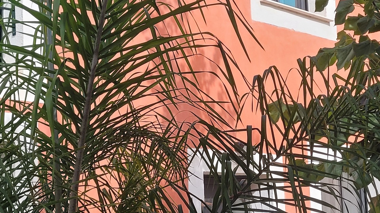 Photo of Outdoor in Six-Fours-les-Plages