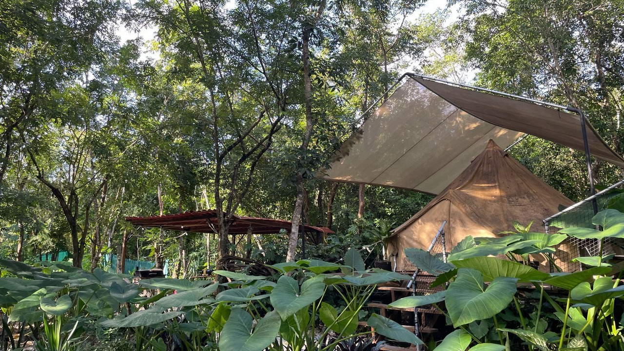 Photo of Outdoor in Cozumel