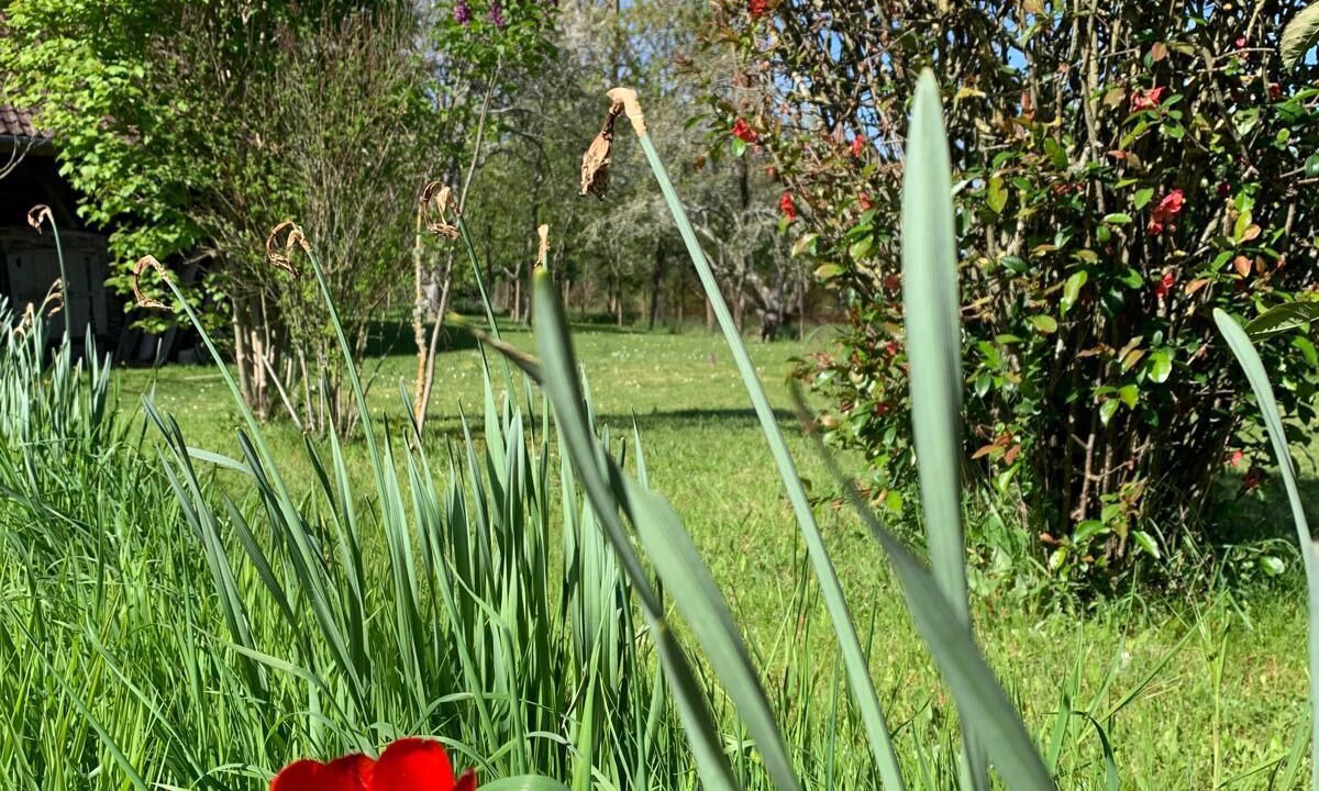 Photo of Outdoor in Betete