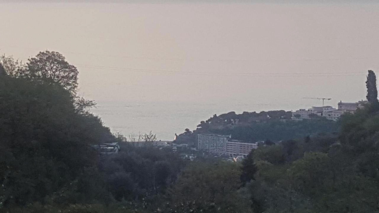 Photo of Others in La Turbie