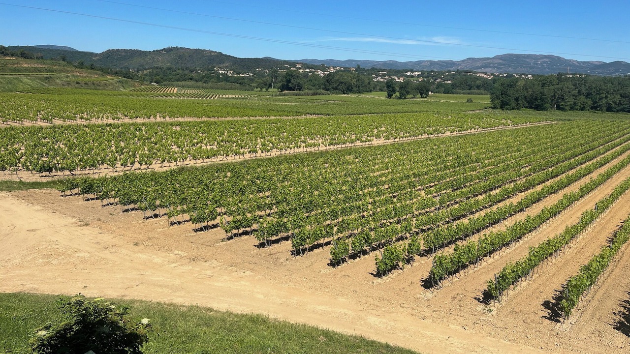 Photo of Outdoor in Cogolin