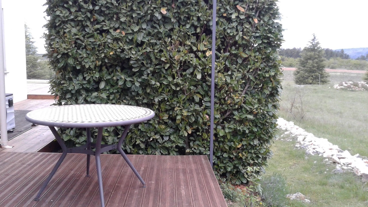 Photo of Outdoor in Aurel