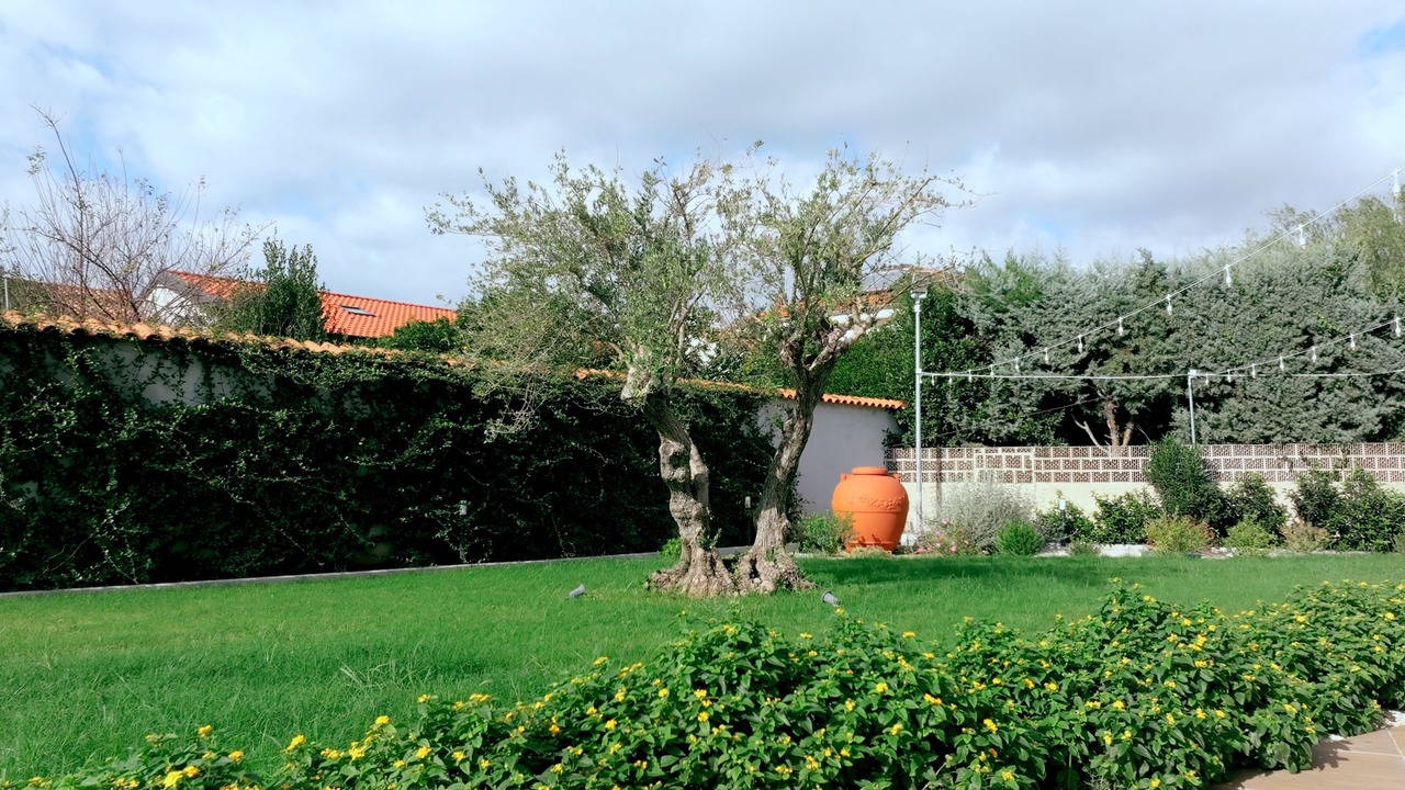 Photo of Outdoor in Magazzeno