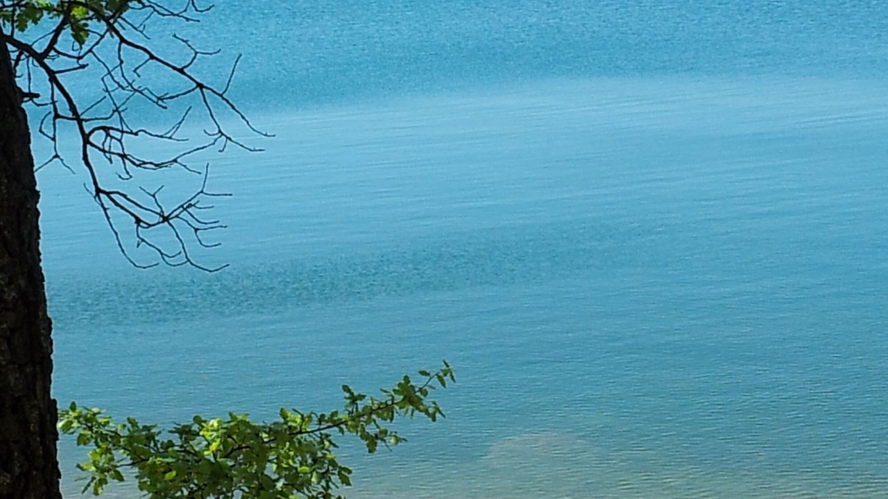 Photo of Others in Les Salles-sur-Verdon
