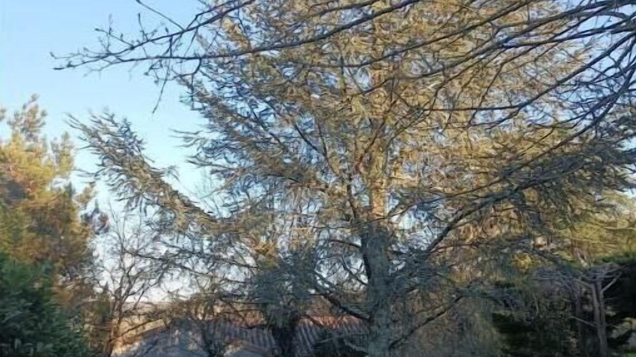 Photo of Outdoor in Balazuc