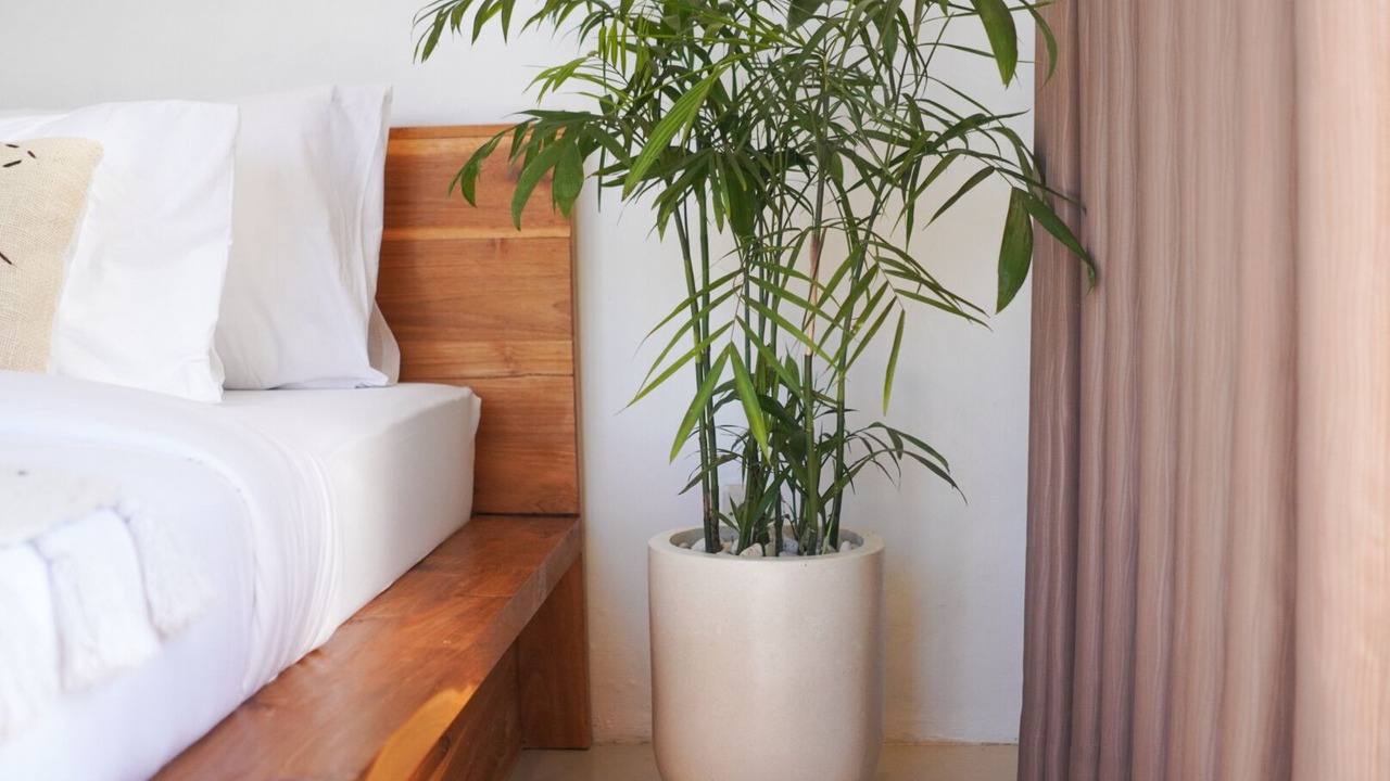 Photo of Bedroom in Songan