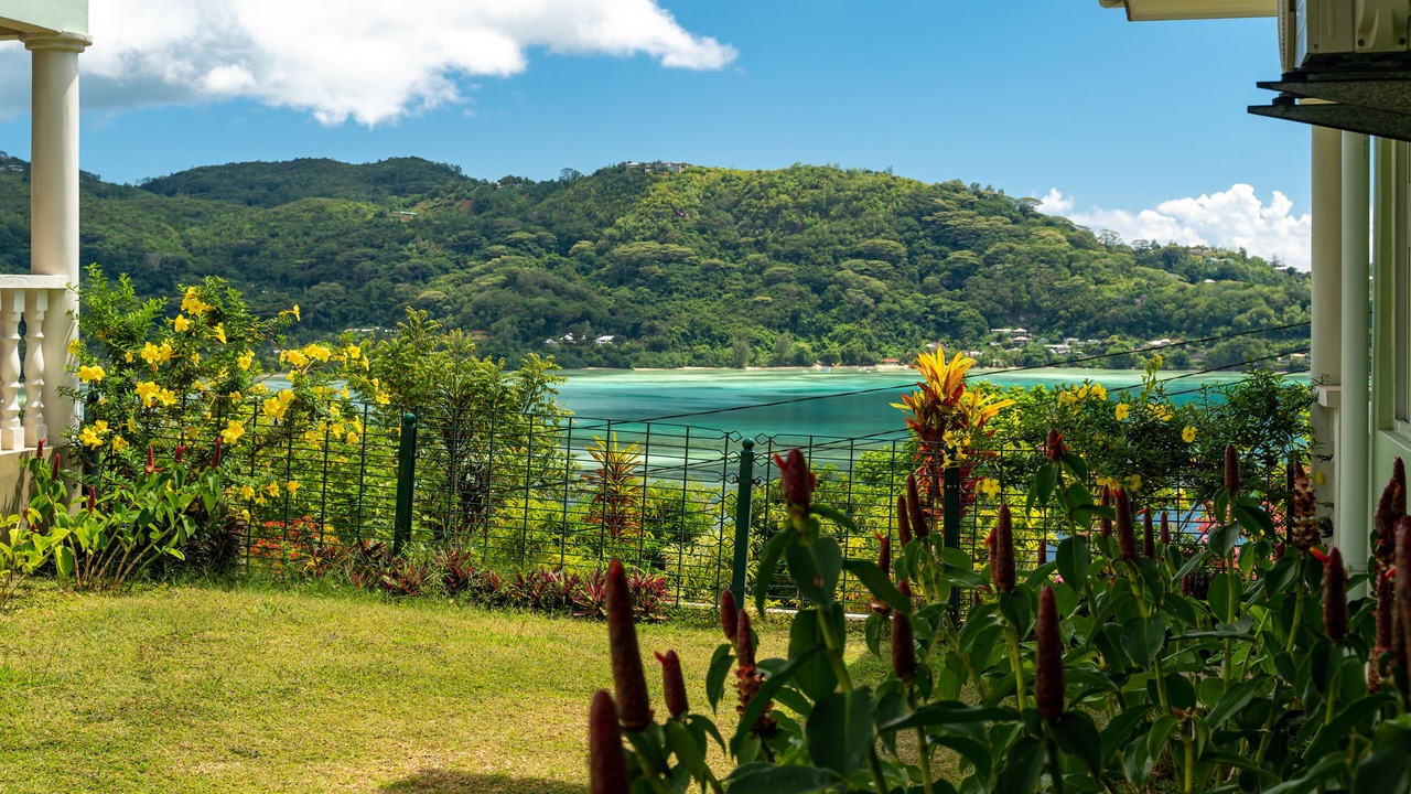 Photo of Outdoor in Anse La Mouche