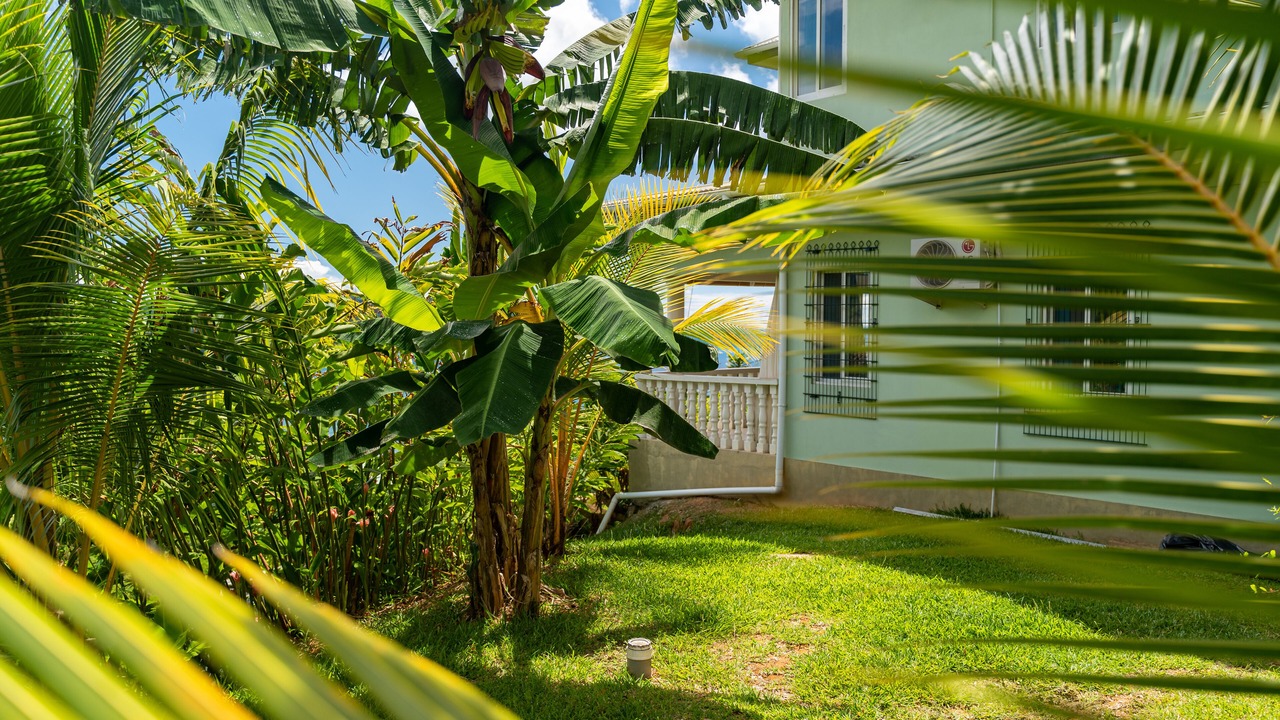 Photo of Outdoor in Anse La Mouche