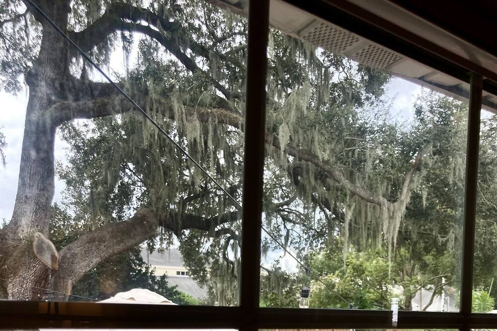 Photo of Outdoor in Lakeland