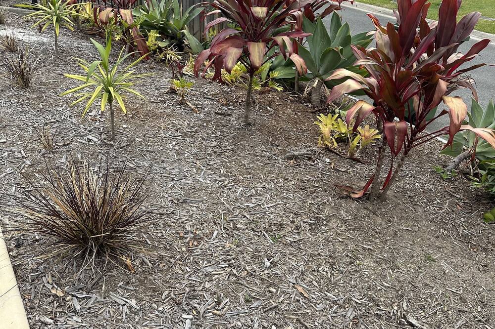 Photo of Outdoor in Upper Coomera